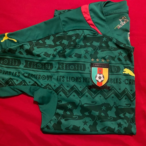 Puma Cameroon 2014 FIFA World Cup Soccer Jersey - Picture 5 of 5
